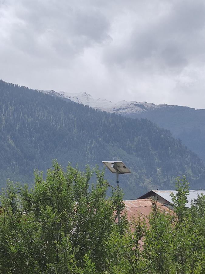 Woods Inn Mountain View Manali ภายนอก รูปภาพ