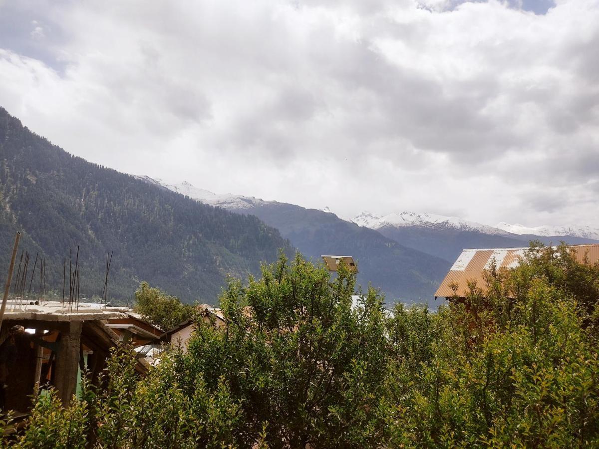 Woods Inn Mountain View Manali ภายนอก รูปภาพ